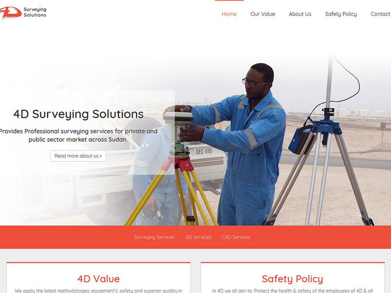 4D Surveying
